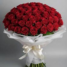 Букет 101 Красная роза Блэк Мэджик #REPLACE_PRED# Ундоры