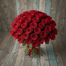 Букет 55 Красных роз Фридом #REPLACE_PRED# Ундоры
