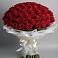 Букет 101 Красная роза Блэк Мэджик в Ундоры