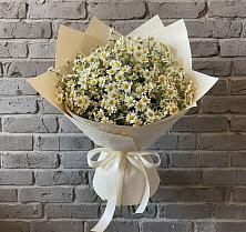 Букет цветов из:  Ромашки #REPLACE_PRED# Ундоры