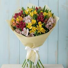 Букет цветов из:  Альстромерии #REPLACE_PRED# Ундоры