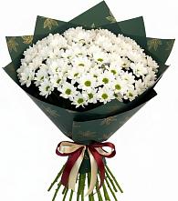 Букет цветов из:  Хризантемы #REPLACE_PRED# Ундоры