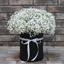 Цветочная композиция из Гипсофила в шляпной коробке в Ундоры