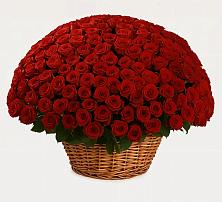 Премиум букет из: Розы в Ундоры